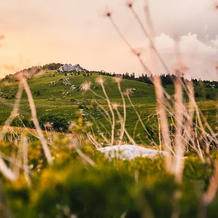 Belakapa Authentic House With Garden And Free Parking *