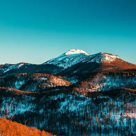 Belakapa Authentic House With Garden And Free Parking * Ilirska Bistrica