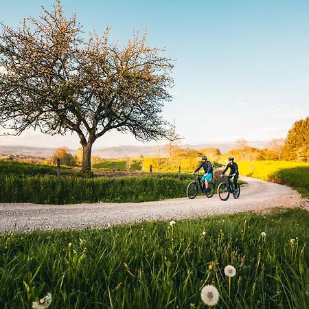 Belakapa Authentic House With Garden And Free Parking Дом отдыха Илирска-Бистрица