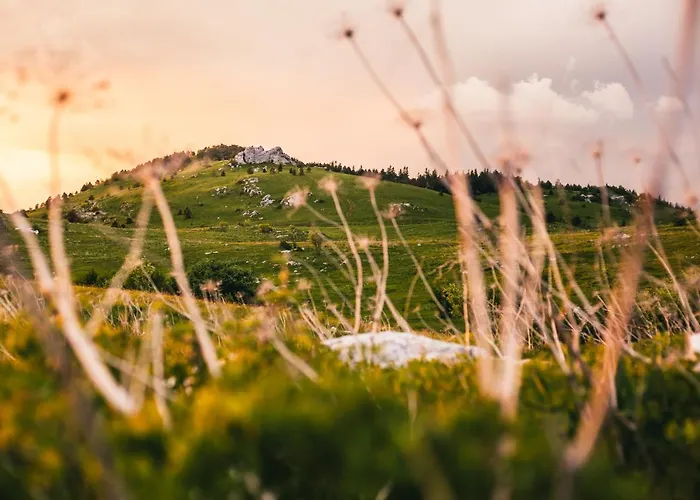 Belakapa Authentic House With Garden And Free Parking *