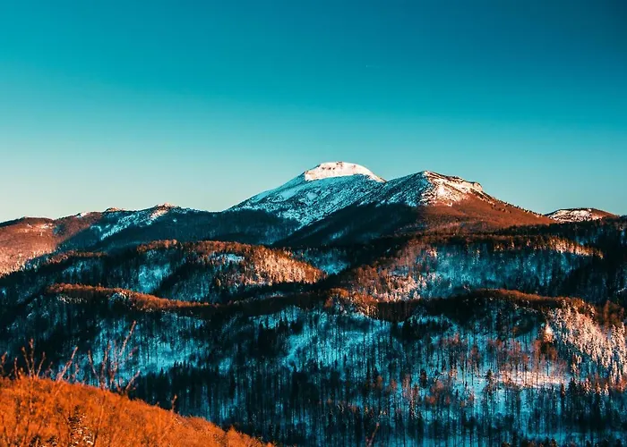 Belakapa Authentic House With Garden And Free Parking * イリルスカ・ビストリツァ