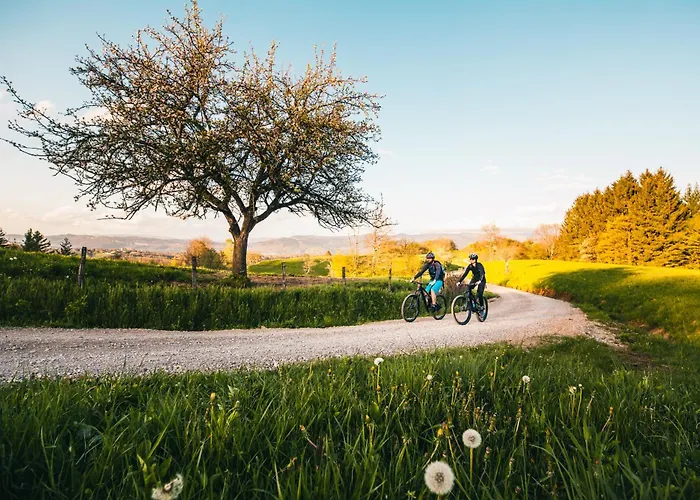 Belakapa Authentic House With Garden And Free Parking בית נופש אילירסקה ביסטריצה
